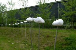 Bild: Ansicht der Landesgartenschau in Großenhain
