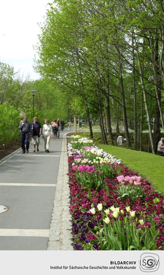 Ansicht der Landesgartenschau in Großenhain