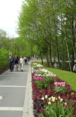 Bild: Ansicht der Landesgartenschau in Großenhain