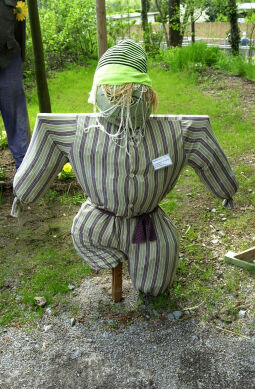 Bild: Ansicht der Landesgartenschau in Großenhain