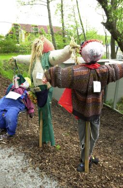 Bild: Ansicht der Landesgartenschau in Großenhain