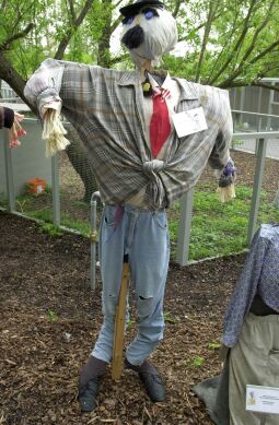 Bild: Ansicht der Landesgartenschau in Großenhain