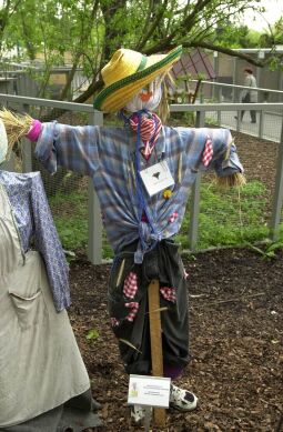 Bild: Ansicht der Landesgartenschau in Großenhain