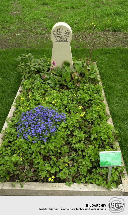 Ansicht der Landesgartenschau in Großenhain