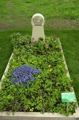 Bild: Ansicht der Landesgartenschau in Großenhain