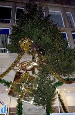 Bild: Ansicht eines Dresdner Weihnachtsmarktes