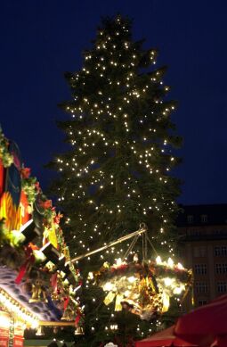 Bild: Ansicht des Striezelmarktes