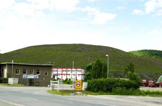 Renaturierung ehemaliger Bergbauhalden