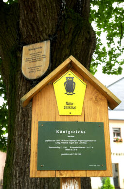 Bild: Ortsansicht in Schwarzenberg