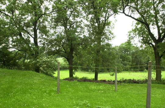 Ortsansicht in Thanhof