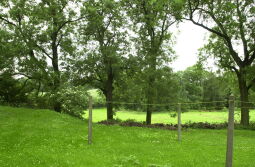 Bild: Ortsansicht in Thanhof