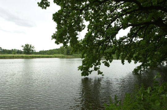 Ortsansicht in Reuth