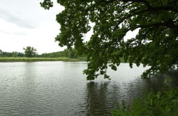 Bild: Ortsansicht in Reuth