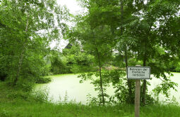 Bild: Ortsansicht in Thanhof