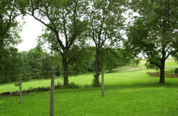 Bild: Ortsansicht in Thanhof