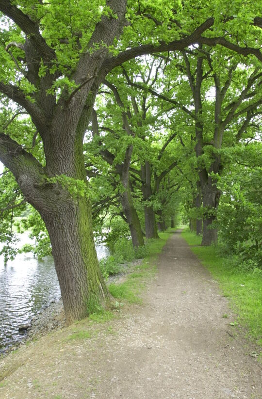 Ortsansicht in Reuth