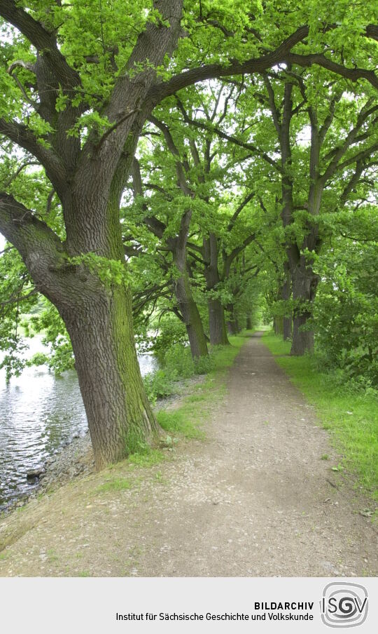 Ortsansicht in Reuth