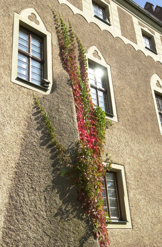 Ortsansicht in Taubenheim