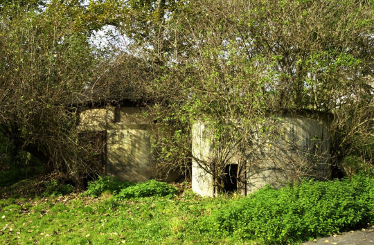 Ortsansicht in Pinnewitz