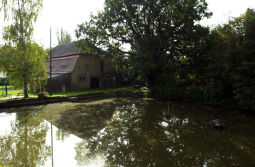 Bild: Ortsansicht in Graupzig