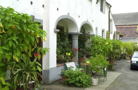 Ortsansicht in Graupzig