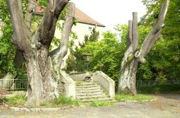 Bild: Ortsansicht in Zschorna