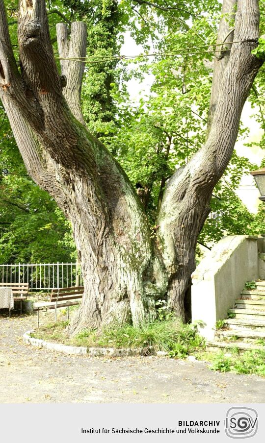 Ortsansicht in Zschorna