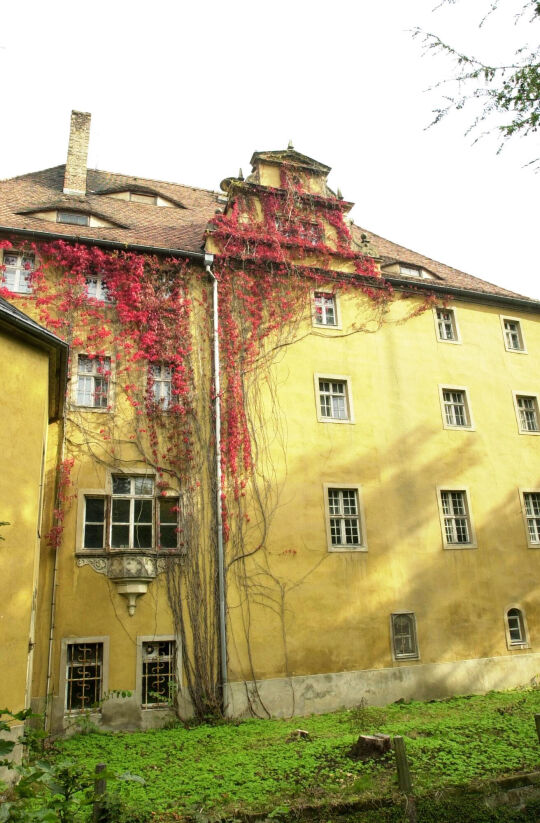 Ortsansicht in Zschorna