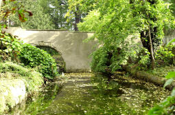 Bild: Ortsansicht in Zschorna