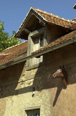 Bild: Ortsansicht in Cunewalde