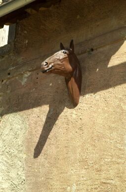 Bild: Ortsansicht in Cunewalde