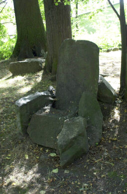 Bild: Ortsansicht in Cunewalde