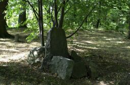 Bild: Ortsansicht in Cunewalde