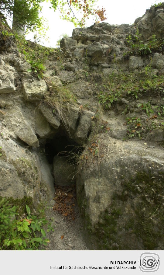 Ansicht der Ruine Karlsfried