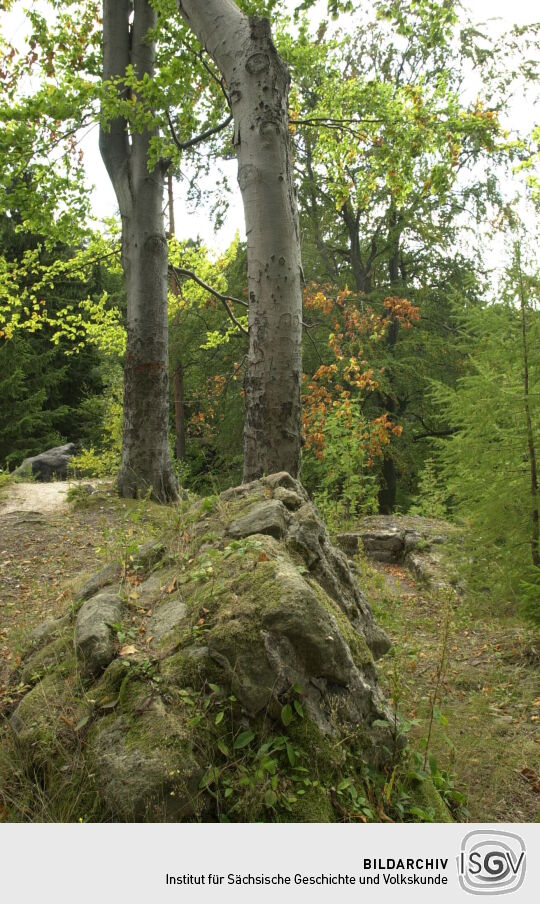 Ansicht der Ruine Karlsfried