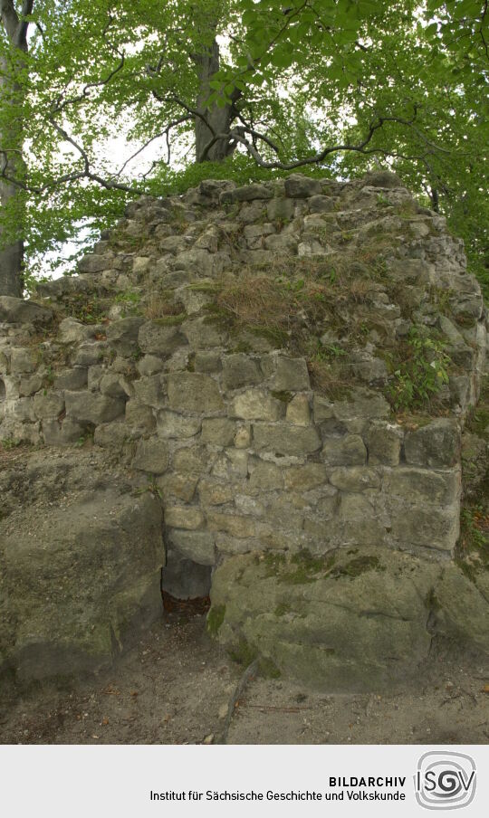 Ansicht der Ruine Karlsfried