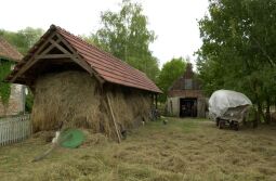 Bild: Ortsansicht in Trebus