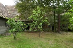 Bild: Ortsansicht in Trebus