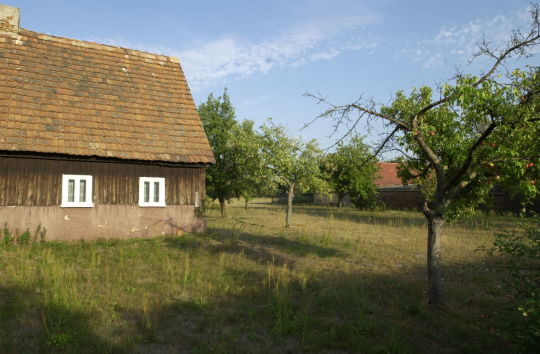 Ortsansicht in Daubitz