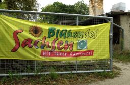 Bild: Ortsansicht in Steinbach
