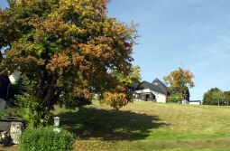 Bild: Ortsansicht in Deutschneudorf