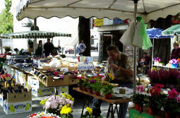 Bild: Ortsansicht in Görlitz