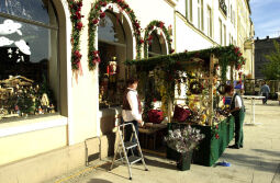 Bild: Ortsansicht in Sebnitz