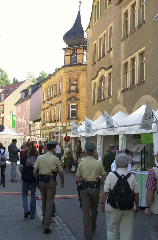 Ortsansicht in Sebnitz