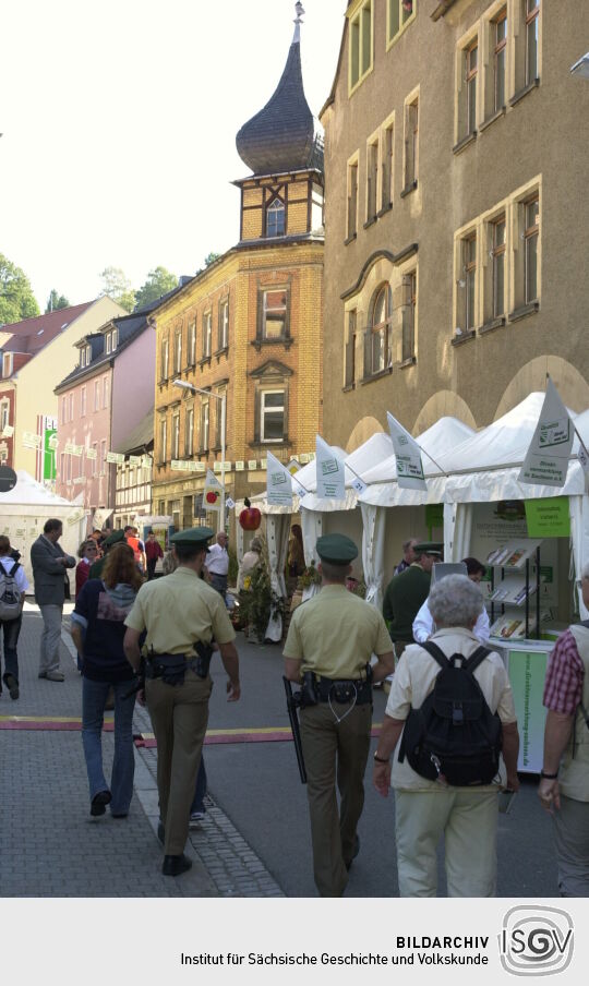 Ortsansicht in Sebnitz