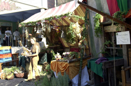 Ortsansicht in Sebnitz