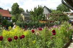 Bild: Ortsansicht in Großschönau