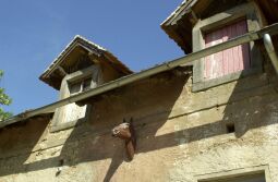 Bild: Ortsansicht in Cunewalde