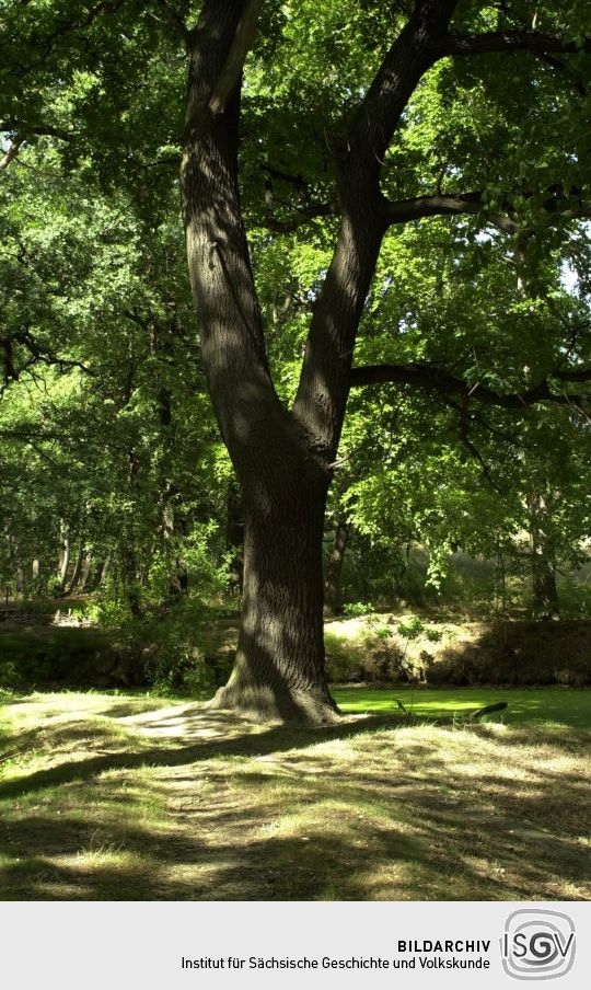 Ortsansicht in Cunewalde