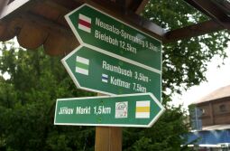 Bild: Ortsansicht in Ebersbach/Sa.